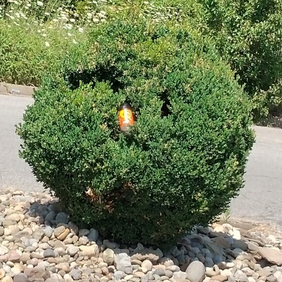 propwizzard